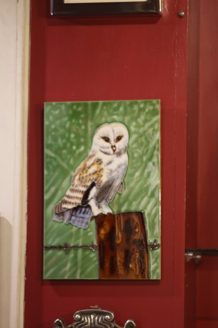 Owl Picture